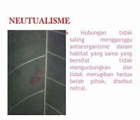 Hubungan Netral Adalah