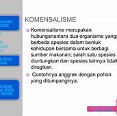 Netralisme Adalah Dan Contohnya Biologi Apa